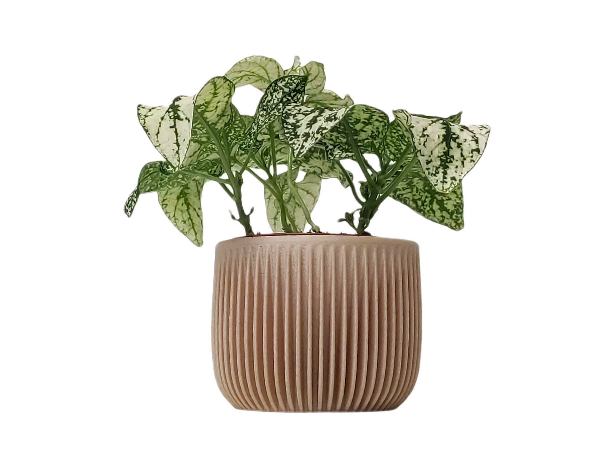 Caja de jardinera chic cubierta de maceta de diseño madera | Etsy