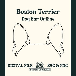 Boston Terrier Dog Ear Outline SVG Cut File and PNG File for Cricut or Silhouette -- Digital File