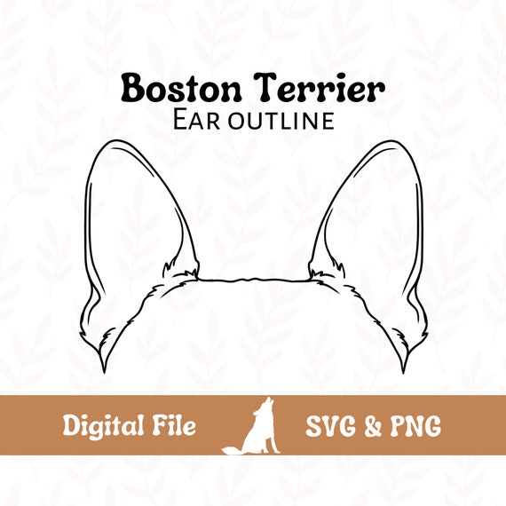 Boston Terrier Dog Ear Outline SVG Cut File and PNG File for Etsy