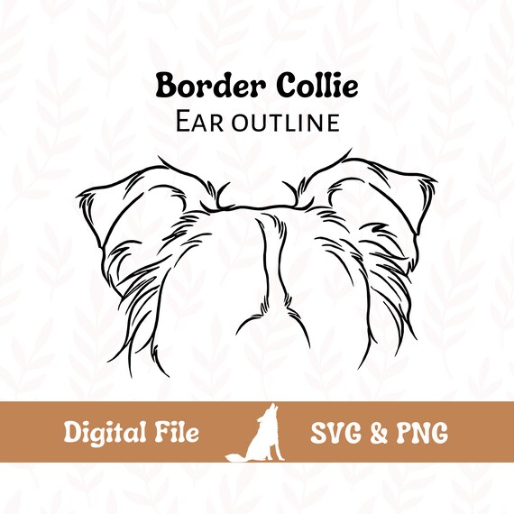 Border Collie Dog Ear Outline SVG Cut File and PNG File for Etsy
