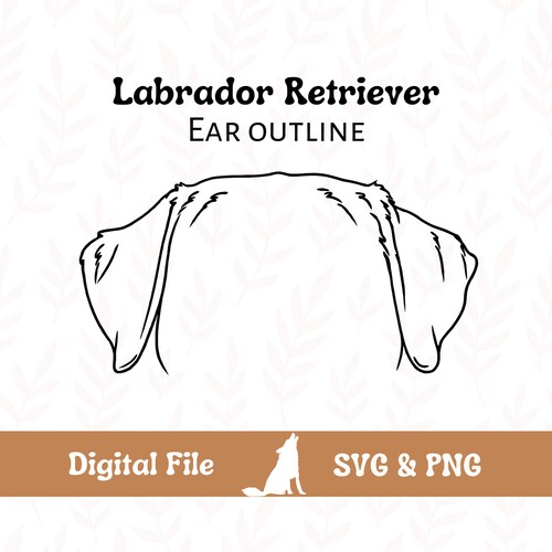 Labrador Retriever Dog Ear Outline SVG Cut File and PNG File Etsy