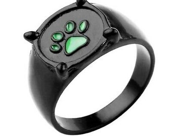 Miraculous Chat Noir Etsy