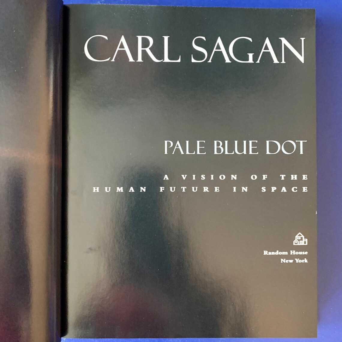 Carl Sagan's Classic Pale Blue Dot A Vision of the | Etsy