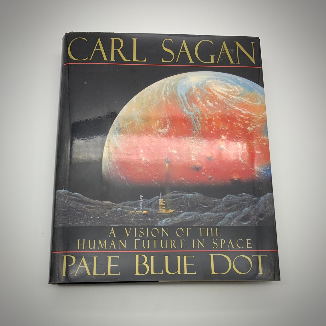 Carl Sagan's Classic Pale Blue Dot A Vision of the | Etsy