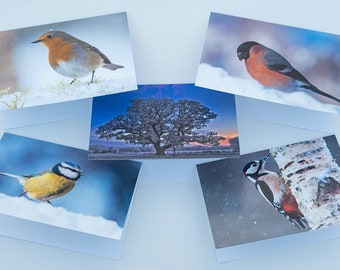 Greeting Cards 5 Pack - British winter scenes