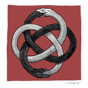 May include: A black and white snake intertwined in a knot, forming a circle. The snake's scales are visible, and the background is a solid red color. The image is signed "DWE'21" in the bottom right corner.