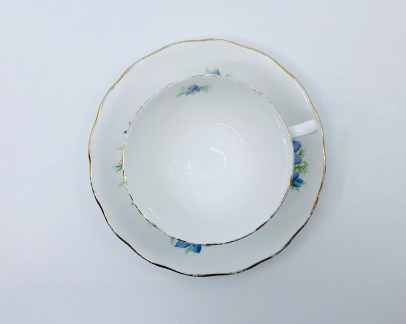 Colclough pattern 7878 tea cup