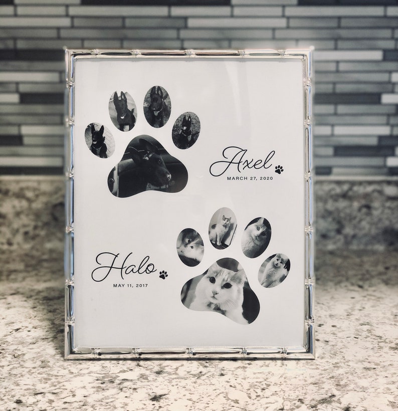 Personalized Paw Print Pet Photo Collage: Custom Pet Portrait (8x10) - Etsy