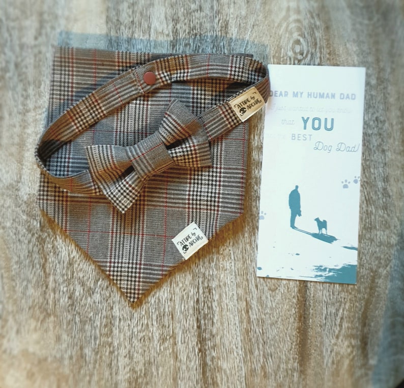 Puppy Gift Matching Owner Gift Set Fathers Day Dog Bandana Ruby Plaid New Pet Gift Mothers Day