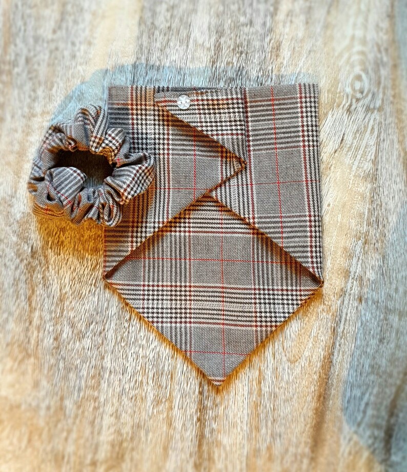 Puppy Gift Matching Owner Gift Set Fathers Day Dog Bandana Ruby Plaid New Pet Gift Mothers Day