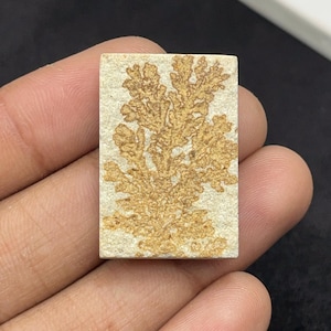 Könnte beinhalten: Ein rechteckiger Stein-Cabochon mit einem natürlichen, verzweigten, baumartigen Dendritenmuster in einem goldbraunen Farbton auf einem texturierten, cremeweißen, porösen Steinhintergrund. Das Stück hat scharfe Kanten und eine flache, matte Oberfläche.