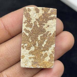 Könnte beinhalten: Ein rechteckiger Stein-Cabochon mit einer hellbeigen Grundfarbe und komplexen, dunkelbraunen dendritischen Mustern, die an verzweigte baum- oder farnartige Formationen auf der flachen, texturierten Oberfläche des Minerals erinnern.
