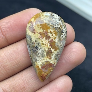 Natural  Fossil Coral Cabochon, Pear  Statement Pendant, Macrame Focal Stone, Wire Wrapping Supply, Collector Gemstone, 32.00 carats