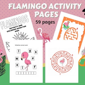 Flamingo Activity Worksheets for kids