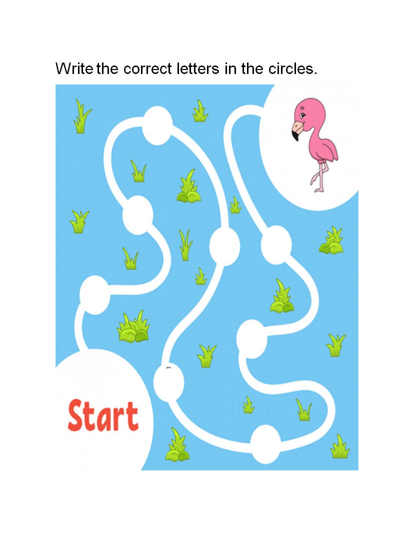 Flamingo Activity Worksheets for Kids - Etsy