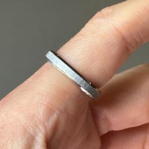 Brushed Stainless Steel Unisex Ring: 4mm Silver Band