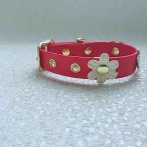 Handmade star flower biothane collar