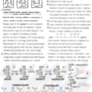 Glycolysis notes and Fillable Glycolysis Enzyme/Substrate pdf