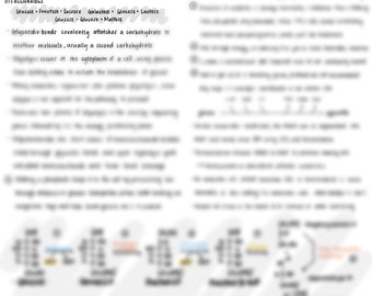 Notes de glycolyse et enzyme/substrat de glycolyse remplissable pdf