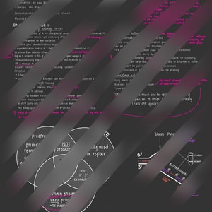 Bacterial Nucleic Acid Biosynthesis Notes (with steps)