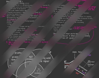 Notes sur la biosynthèse des acides nucléiques bactériens (avec étapes)