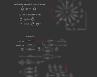 Réactions aromatiques (suite) et aminés