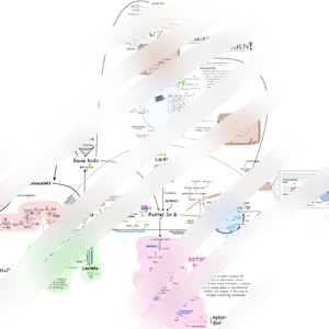 Glycolysis/Krebs/ETC/Urea cycle full diagram (PDF AND Goodnotes doc.)