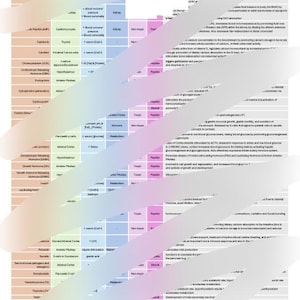 Hormone Study Chart