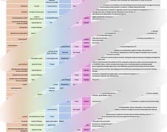 Tableau d'étude des hormones