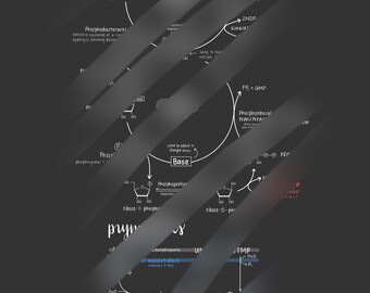 Diagramme de réaction de récupération d'acide nucléique