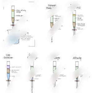 May include: A diagram illustrating different types of chromatography techniques used in chemistry, including normal phase, size exclusion, ion exchange, and affinity chromatography. Each technique is represented by a column with different colored layers representing the stationary and mobile phases.