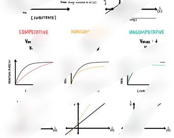 Examen de l'inhibition enzymatique