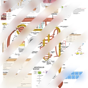 Notas y diagramas renales (revisión)