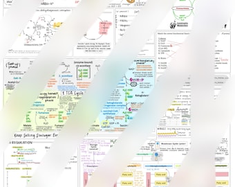 Krebs/Electron Transport Chain tricherie