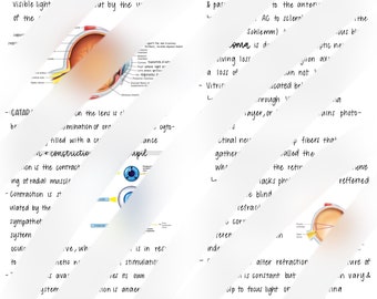 Notes de physiologie de l'œil et de la vision