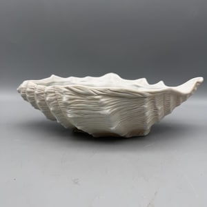 May include: A ceramic bowl shaped like a large seashell with a textured, ridged exterior and a smooth, off-white finish. The vessel features a wide, open top with a jagged, organic rim that mimics the natural form of a marine mollusk shell.