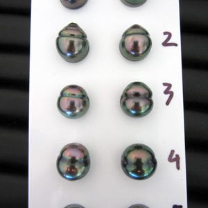 May include: A selection of dark, iridescent pearls displayed on a white card. The pearls have a smooth, reflective surface with hints of green, purple, and blue. Each pearl is numbered from 1 to 5, showcasing variations in shape and luster.