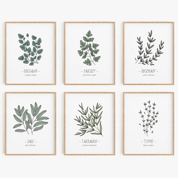 Kitchen herbs print set - Set of 12, Culinary herbs poster set, Kitchen decor, Food art, Botanical wall decor, Wall art,  DIGITAL DOWNLOAD