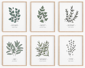 Kitchen herbs print set - Set of 12, Culinary herbs poster set, Kitchen decor, Food art, Botanical wall decor, Rustic wall art, MAILED PRINT