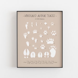Solid white drawing of animal tracks chart with title, numbers and legend on a light brown background in a black frame on a white wall handmade by Marie Hebert of Bleu Marie Artwork in Lawrencetown Nova Scotia Canada originally from St-Vallier Quebec