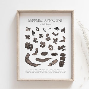 Impresión de excrementos de animales: póster de excrementos de animales del bosque, gráfico de excrementos en la naturaleza, guía de campo de caza en la montaña, decoración del bosque, DESCARGA DIGITAL