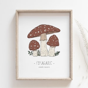 Impresión de hongos, cartel de agárico de mosca, dibujo botánico, arte del bosque, arte de la naturaleza, impresión de biología, cartel del bosque, decoración de la cabaña, IMPRESIÓN POR CORREO