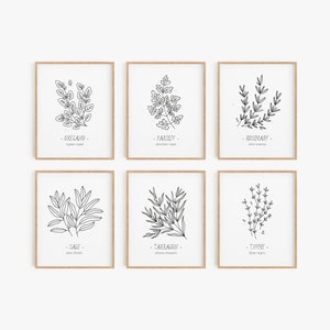 Küchenkräuter Print-Set - 12er-Set, Küchenkräuter Poster-Set, Küchendeko, Schwarzweiße Kunst, Einfache Linienzeichnung, DIGITAL DOWNLOAD
