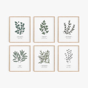 Küchenkräuter Print-Set - 12er Set, Küchenkräuter Poster Set, Küchendeko, Food Art, Botanische Wanddekoration, Wandkunst, DIGITAL DOWNLOAD