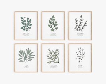 Kitchen herbs print set - Set of 12, Culinary herbs poster set, Kitchen decor, Food art, Botanical wall decor, Wall art,  DIGITAL DOWNLOAD