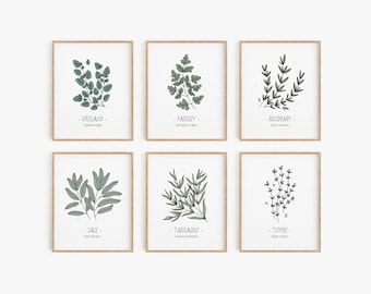 Kitchen herbs print set - Set of 12, Culinary herbs poster set, Kitchen decor, Food art, Botanical wall decor, Rustic wall art, MAILED PRINT