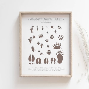 Impression de traces d'animaux - affiche de gravures d'animaux des bois, décoration de pépinière de forêt, impression de pépinière de forêt, art mural de forêt, impression par la poste