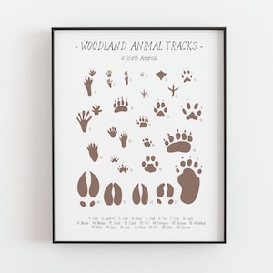 Impression de traces d'animaux - affiche d'empreintes de pattes d'animaux des bois, guide de piste de nature sauvage, art mural de forêt, décor de bois, faune, IMPRESSION PAR LA POSTE