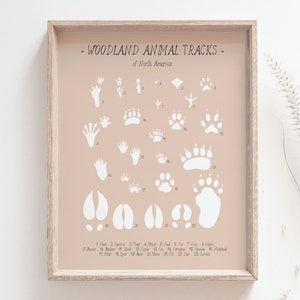 Animal tracks print Woodland animals paw prints poster, Wilderness track guide, Woodland wall art, Educational poster, DIGITAL DOWNLOAD image 1