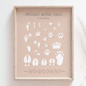 Animal tracks print Woodland animals paw prints poster, Wilderness track guide, Woodland wall art, Educational poster, DIGITAL DOWNLOAD image 1